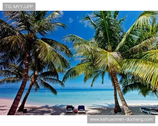 澳门海岛娱乐场：打造海岛度假与娱乐相融合的完美旅游新体验