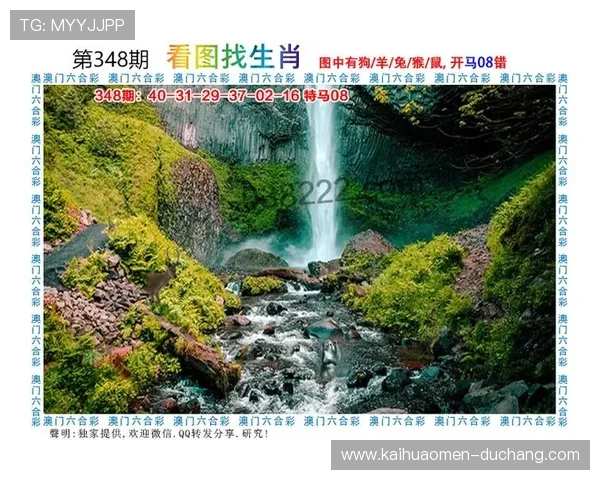 澳门彩游戏玩法详解,掌握技巧助你轻松获胜